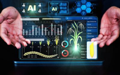 Kilimo: The Company Turning Drought Into Opportunity