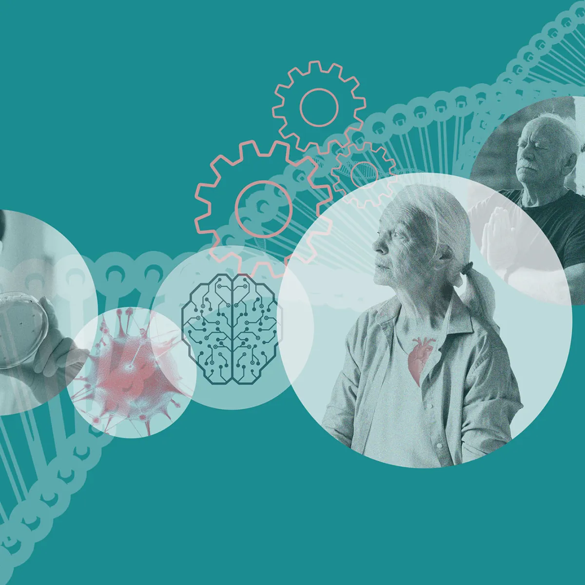 Longevity_Novartis_07_RZ-copy Anti Aging Science